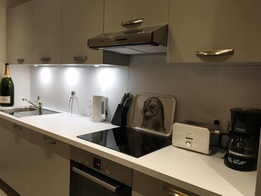 Comfortable, Cozy, Chill, Spacious, Near Cathedral Reims Eksteriør billede
