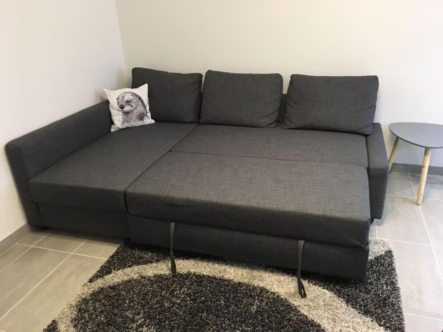 Comfortable, Cozy, Chill, Spacious, Near Cathedral Reims Eksteriør billede